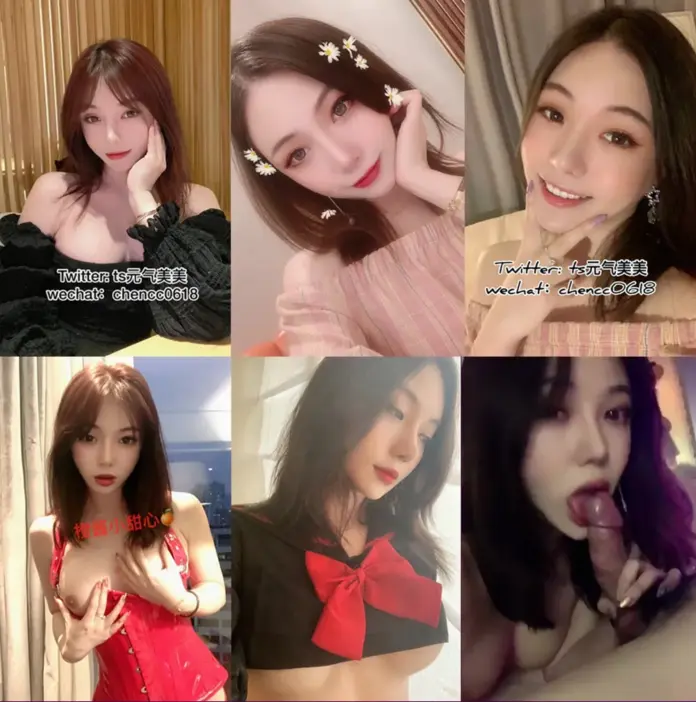 Twitter 인언언서 유료 비디오