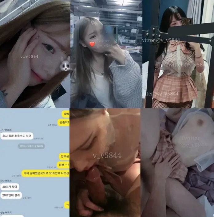 인터넷 연예인 소녀 Twitter：V_V5844 [102P+34V]