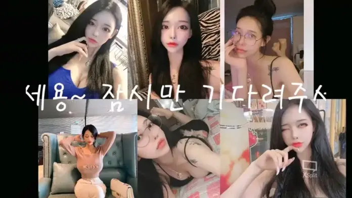 유튜버 ㅅㅂ와 결혼한 bj 셀리