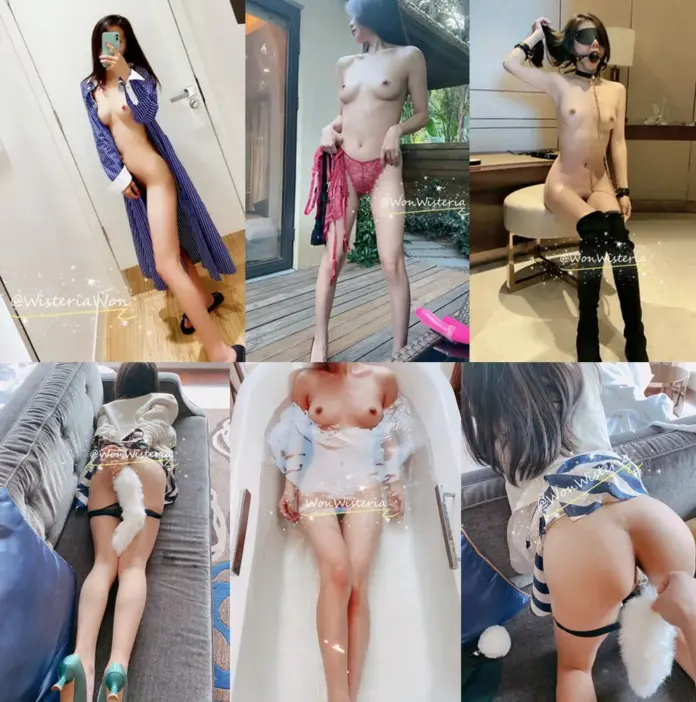 최신 인터넷 인플루언서