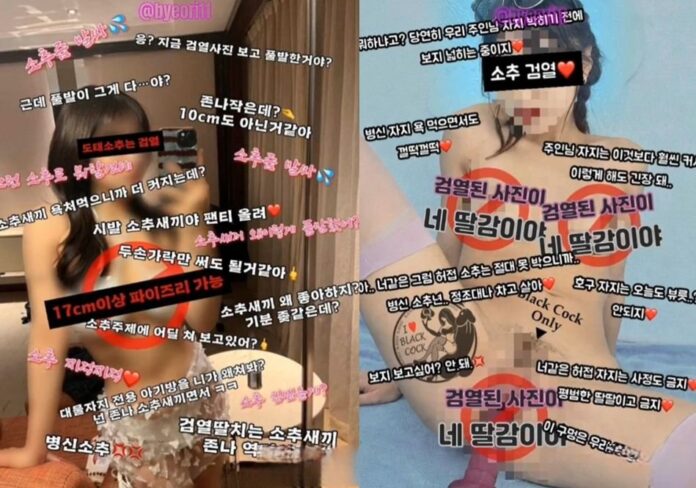 Korean Amateur Video 2026 – 주인의 암컷 개