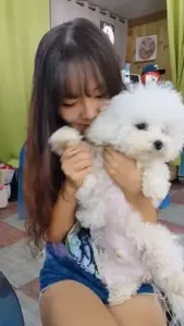Lee Eun Ji Korean Girlfriend Homemade Sex Video 2026