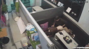 Leaked Video 2026 – IPCAM 룸카페 풋풋한커플